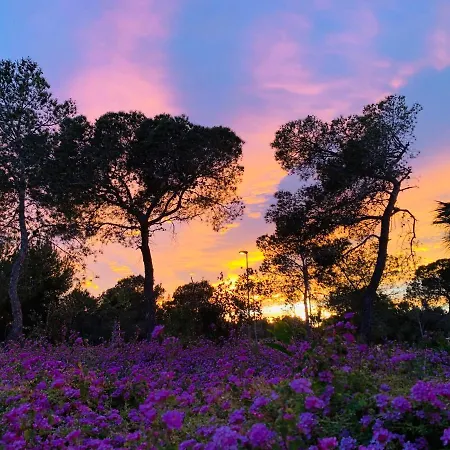 Naranjo Golf & Leisure *